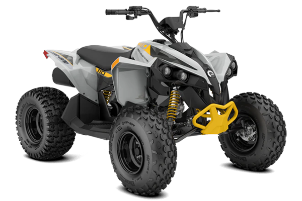 Can-Am Renegade 110 EFI