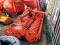 KUHN HR5004 FOLDING POWER HARROW