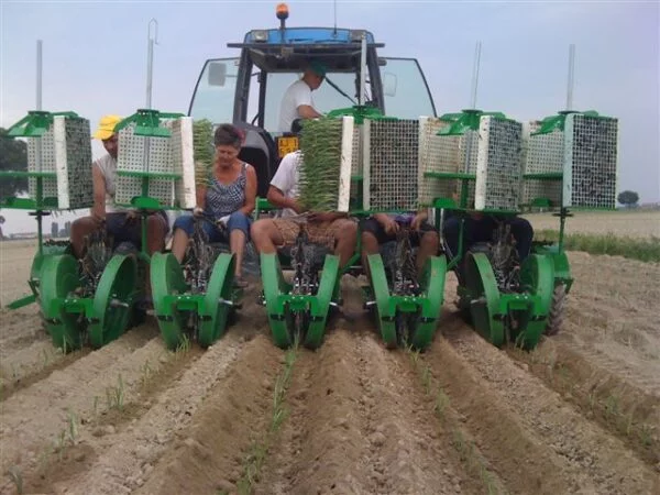 Sfoggia Itala Semi-Automatic Transplanter