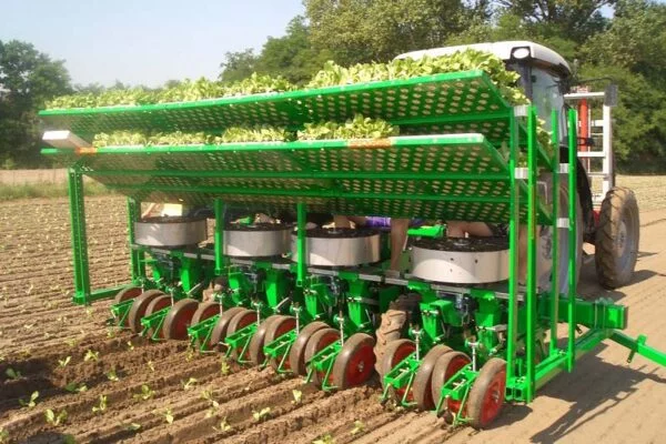 Sfoggia F/C10 Semi-Automatic Transplanter