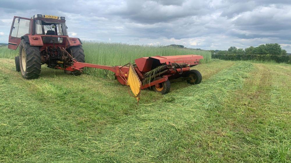 Taarup 307 auto swather