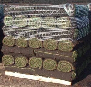 TURF PALLET NETTING 500×500 (1 TO 30 ROLLS)