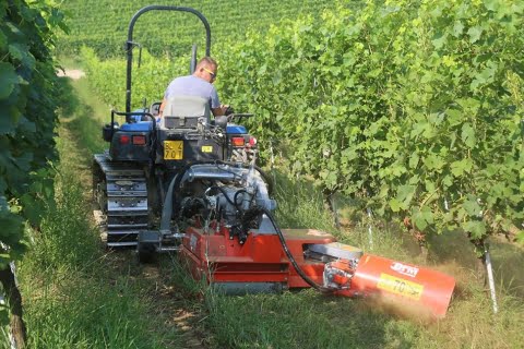 BFM RF130-40 Mower with Inter-Row Cutting Head