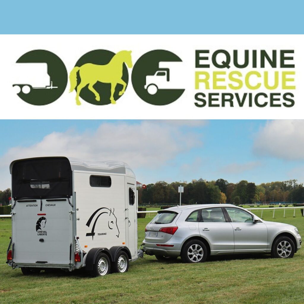 Cheval Liberte Equine Rescue Services