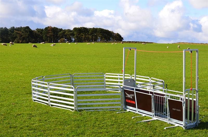 Allflex Alligator Smallholder and Basic Trailer Sheep System