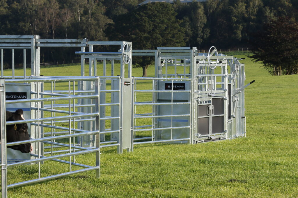 Bateman Cattle Handling