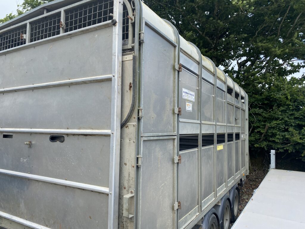 IFOR WILLIAMS 14FT TRI-AXLE CATTLE & SHEEP TRAILER