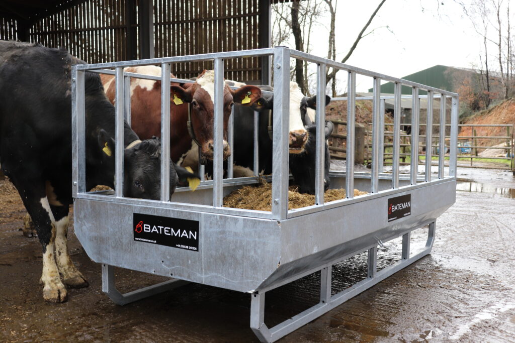 Bateman Cattle Feeding