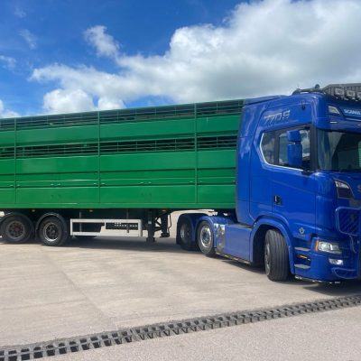 Houghton 36ft Cattle Trailer