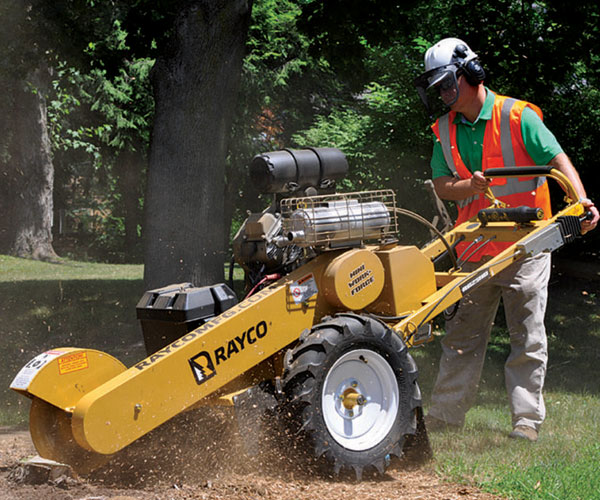 Rayco RG25HD Mini Work Force Stump Grinder