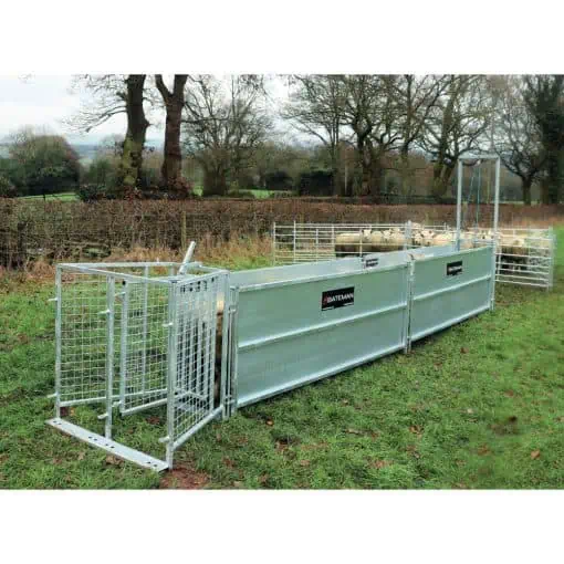 Bateman Standard Sheep Handling Starter Race – 16FT