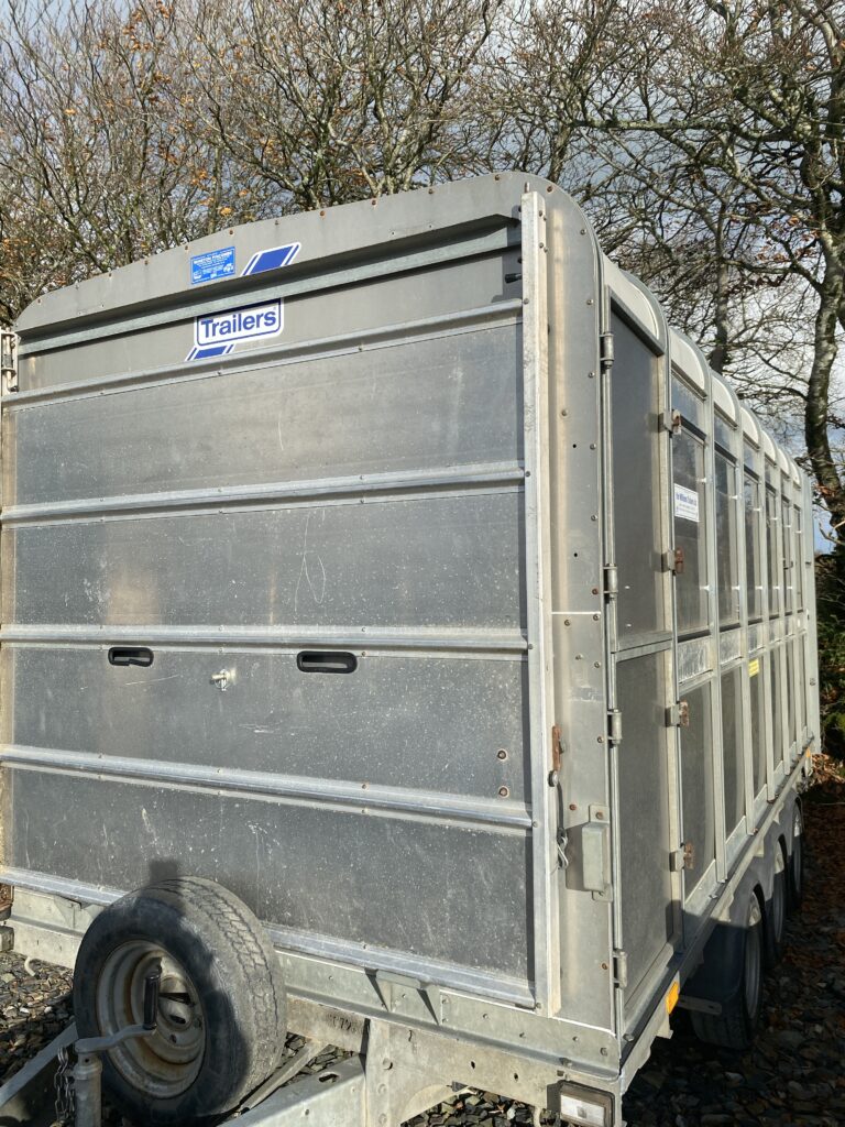 IFOR WILLIAMS 14FT TRI AXLE CATTLE TRAILER C/W DECKS